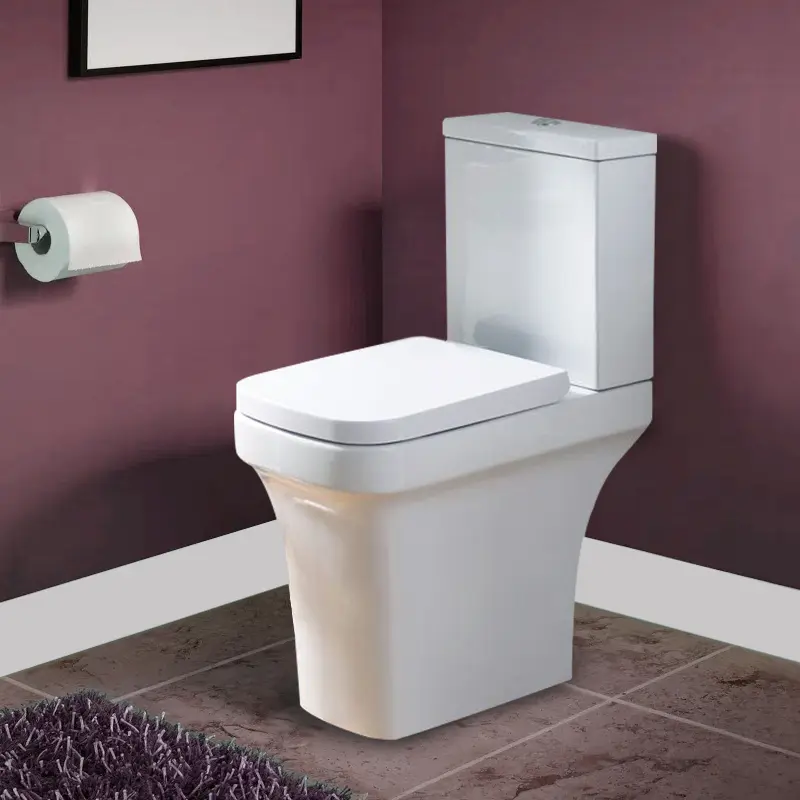 Rivelin Comfort Height Close Coupled Pan, Cistern and Seat
